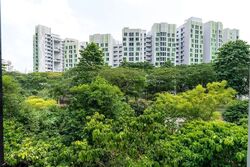 Blk 108A Alkaff Oasis (Toa Payoh), HDB 3 Rooms #612586461